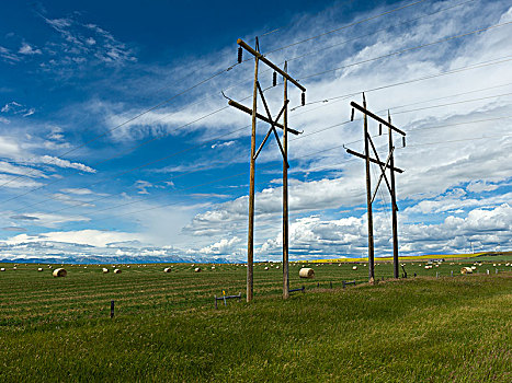 电线塔,农田,溪流,南方,艾伯塔省,加拿大