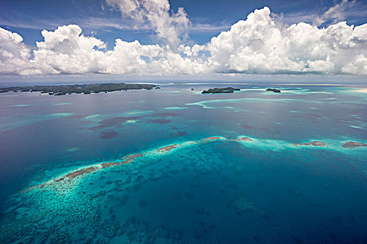 航拍,珊瑚礁,太平洋,帕劳,大洋洲