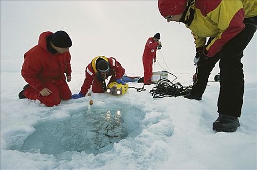 研究人员,机器人,观注,海冰,仰视,探险,威德尔海,南极