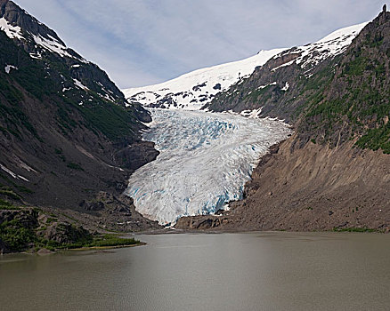 熊,冰河,不列颠哥伦比亚省,加拿大