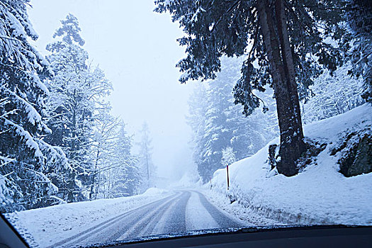 风档玻璃,风景,积雪,乡村,林道,瑞士