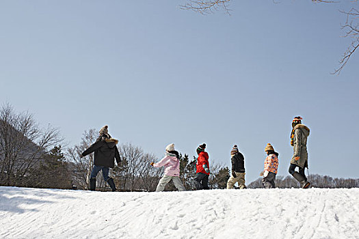 家庭,走,雪原