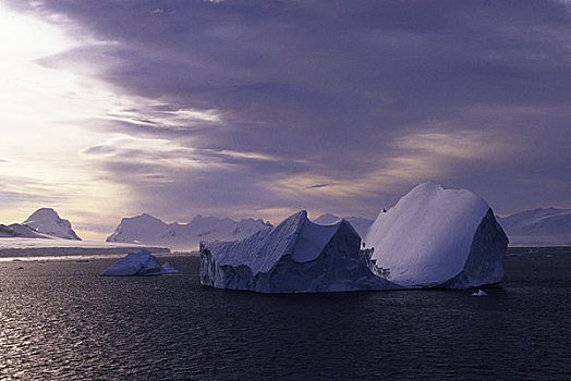 南极,半岛,区域,夜光,冰山