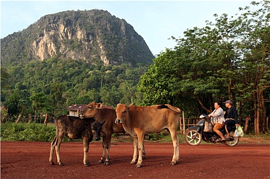 老挝,旅游