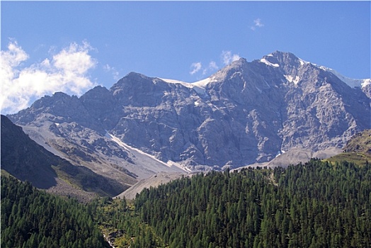 阿尔卑斯山