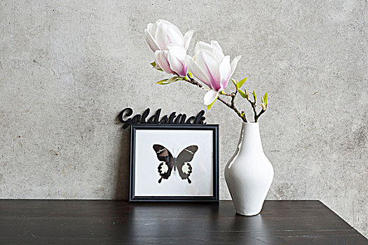 木兰,花,白色,花瓶,正面,蝴蝶,倚靠,混凝土墙