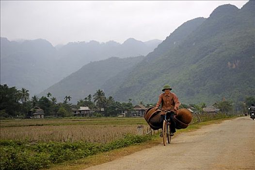 越南,骑自行车,北越,东南亚