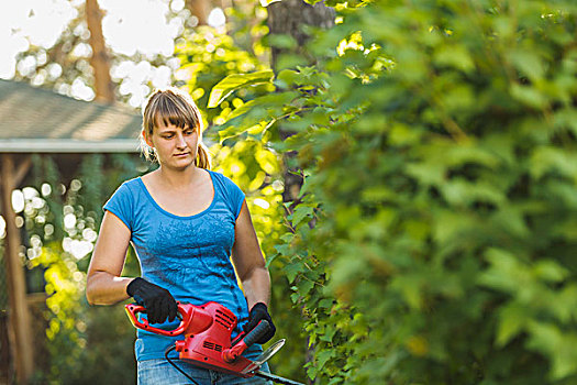 女人,切,植物,树篱,剪刀,院子