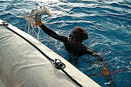 新加勒多尼亚,捕鱼,海岸,大螯虾