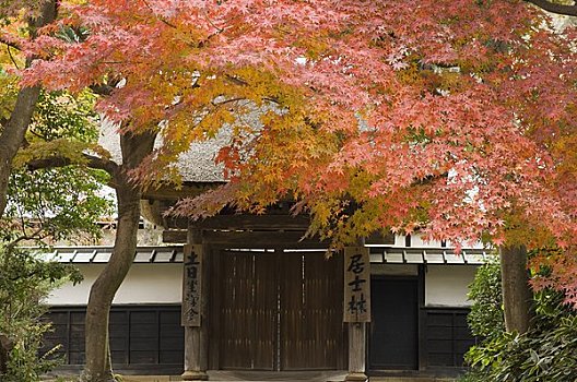 镰仓,日本