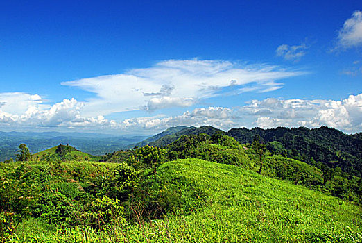 风景,一个,山,孟加拉,七月,2008年