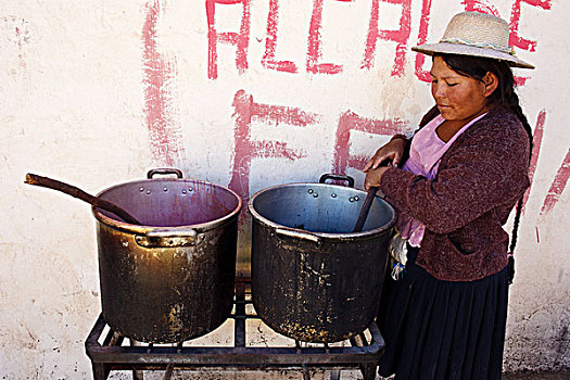 玻利维亚,交易,纺织品,女人,毛织品,色彩