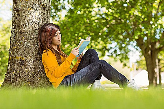 女学生,读,书本,树干,公园