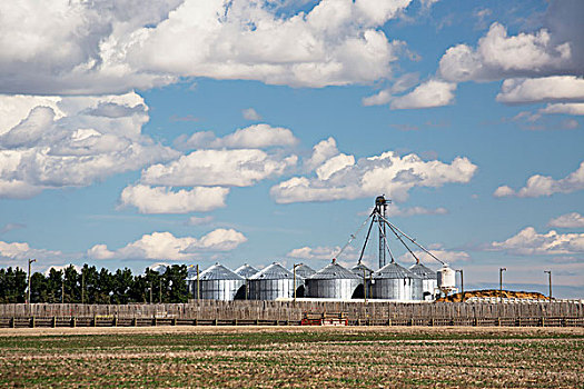 谷物,饲育场,木篱,蓝天,云,艾伯塔省,加拿大