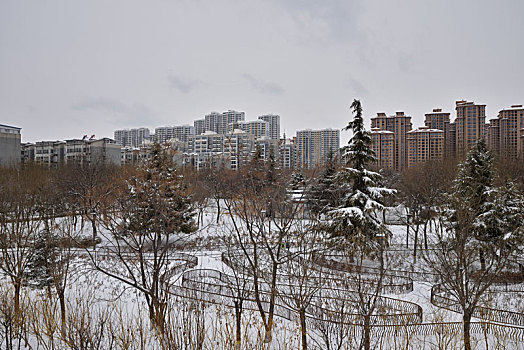 河北省石家庄市公园雪景