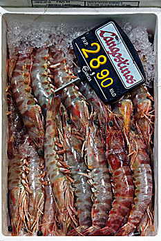 挪威海蛰虾,鱼市,毕尔巴鄂,巴斯克,西班牙