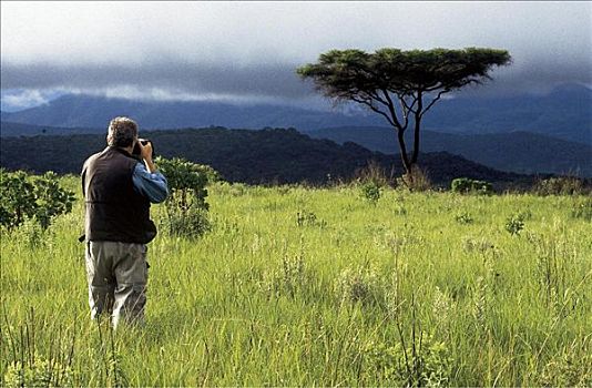 男人,游客,摄影师,刺槐,马拉维,非洲