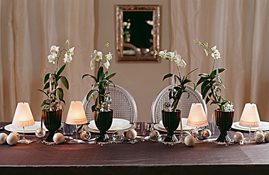桌子,圣诞节,白色,兰花
