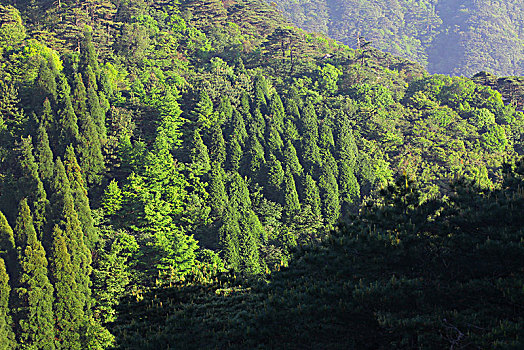 三清山