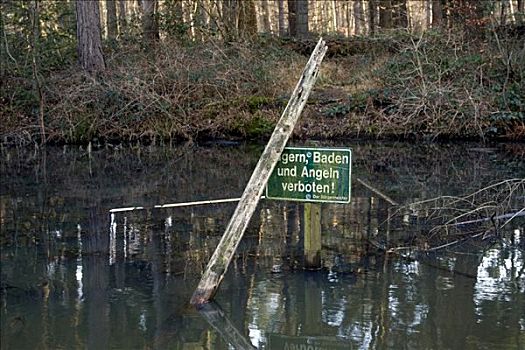 标识,禁止游泳,禁止钓鱼,水塘,树林,靠近,北莱茵威斯特伐利亚,德国,欧洲