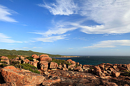 岩石,海岸线,哈梅林,西澳大利亚州