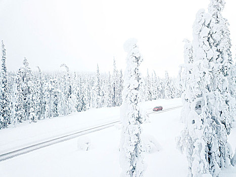 俯视图,汽车,冰,道路,冰冻,树,国家公园,拉普兰,芬兰