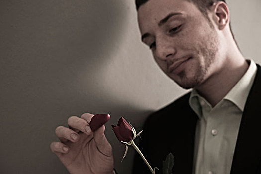 年轻,男人,头像,拔,花瓣,红玫瑰,棚拍