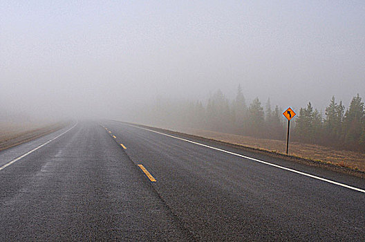 两个,道路,柏油路,公路,薄雾,雾,潮湿,艾伯塔省,早晨