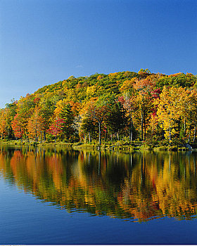 湖,加蒂诺公园,魁北克,加拿大