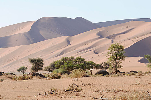 一个,沙丘,索苏维来地区,风景,纳米布沙漠,纳米比沙漠,公园,纳米比亚,非洲