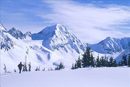 越野滑雪,冬天,阿拉斯加