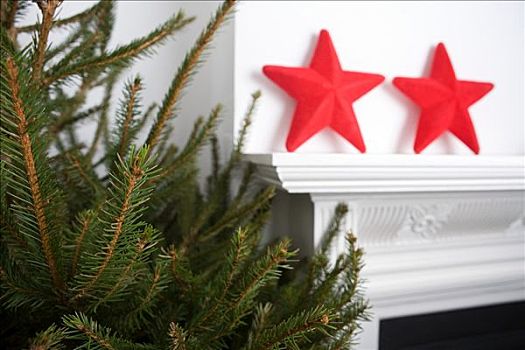 圣诞树,星,圣诞装饰