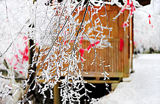 雪挂