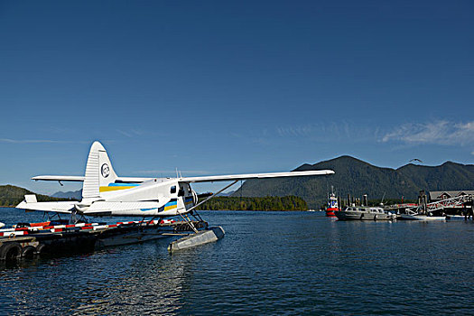 加拿大,不列颠哥伦比亚省,温哥华岛,水上飞机,停放,码头,大幅,尺寸