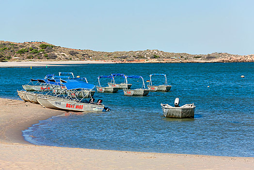 小船,出租,卡尔巴里,西澳大利亚州,澳大利亚,大洋洲