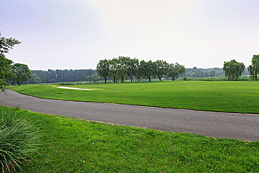 高尔夫球场