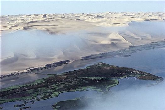 沙丘,湿地,骷髅海岸,纳米布沙漠,纳米比亚
