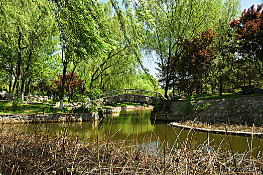 河北省石家庄市植物园