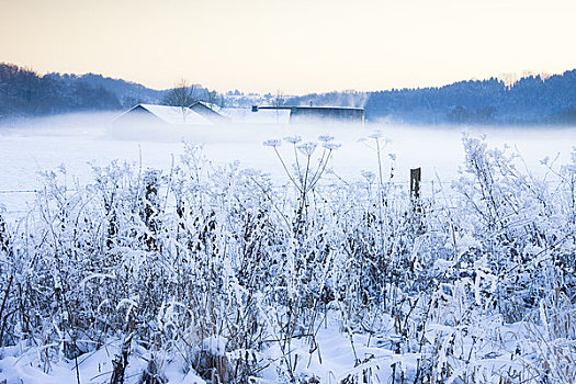 积雪,农场,黄昏,北莱茵威斯特伐利亚,德国