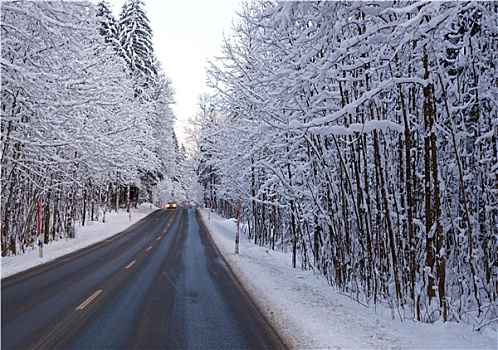 路,冬天,雪