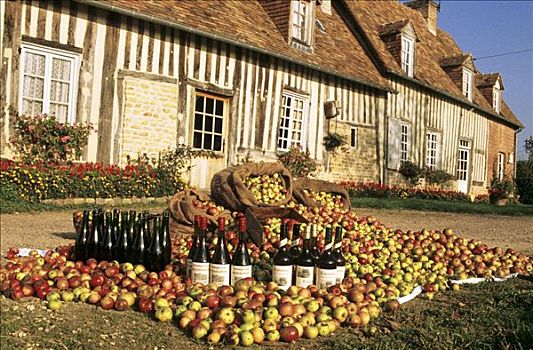 法国,诺曼底,苹果白兰地,苹果汁,道路,农场,苹果
