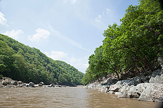 山,水道,河流,激流,天空,岩石,树