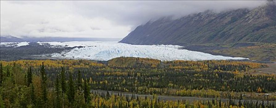 秋天,彩色,风景,冰河,阿拉斯加,美国