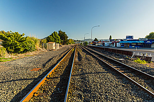 新西兰路