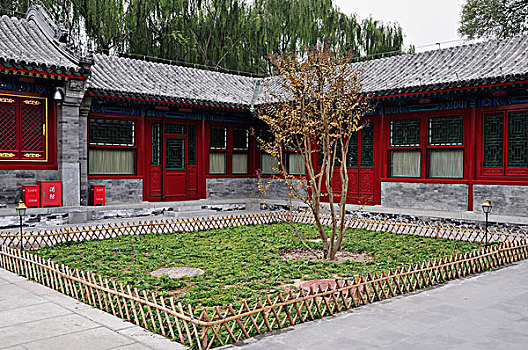 小,草,树,围栏,角,建筑,北京,中国