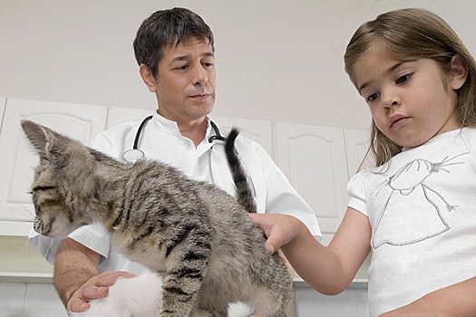 兽医,检查,猫,女孩,旁侧