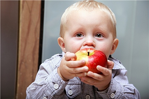 小男孩,吃,苹果