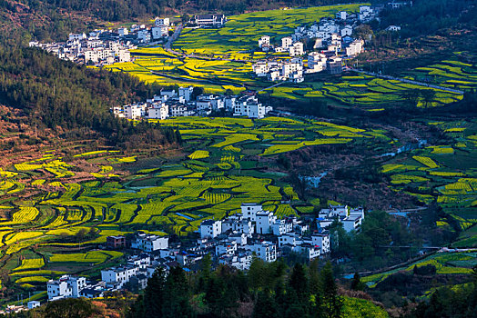 婺源江岭