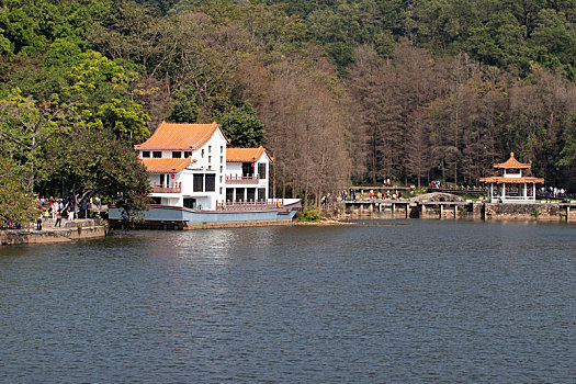 深圳仙湖植物园景观