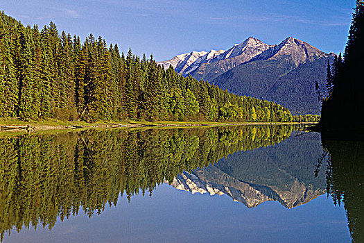 湖,鲍伦湖,省立公园,不列颠哥伦比亚省,加拿大
